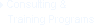 Consulting & Training Programs